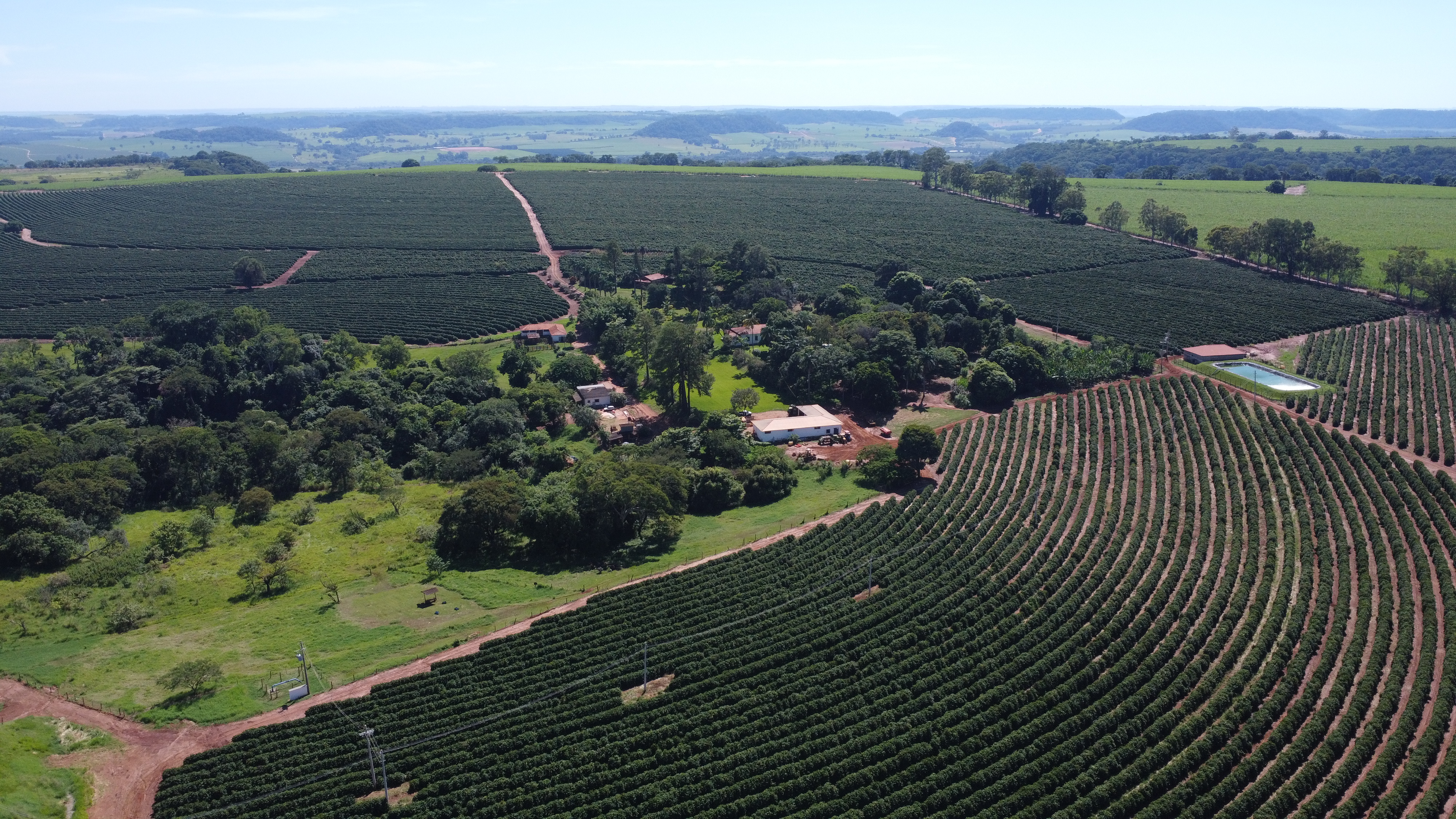 Fazenda Santa Terezinha #1