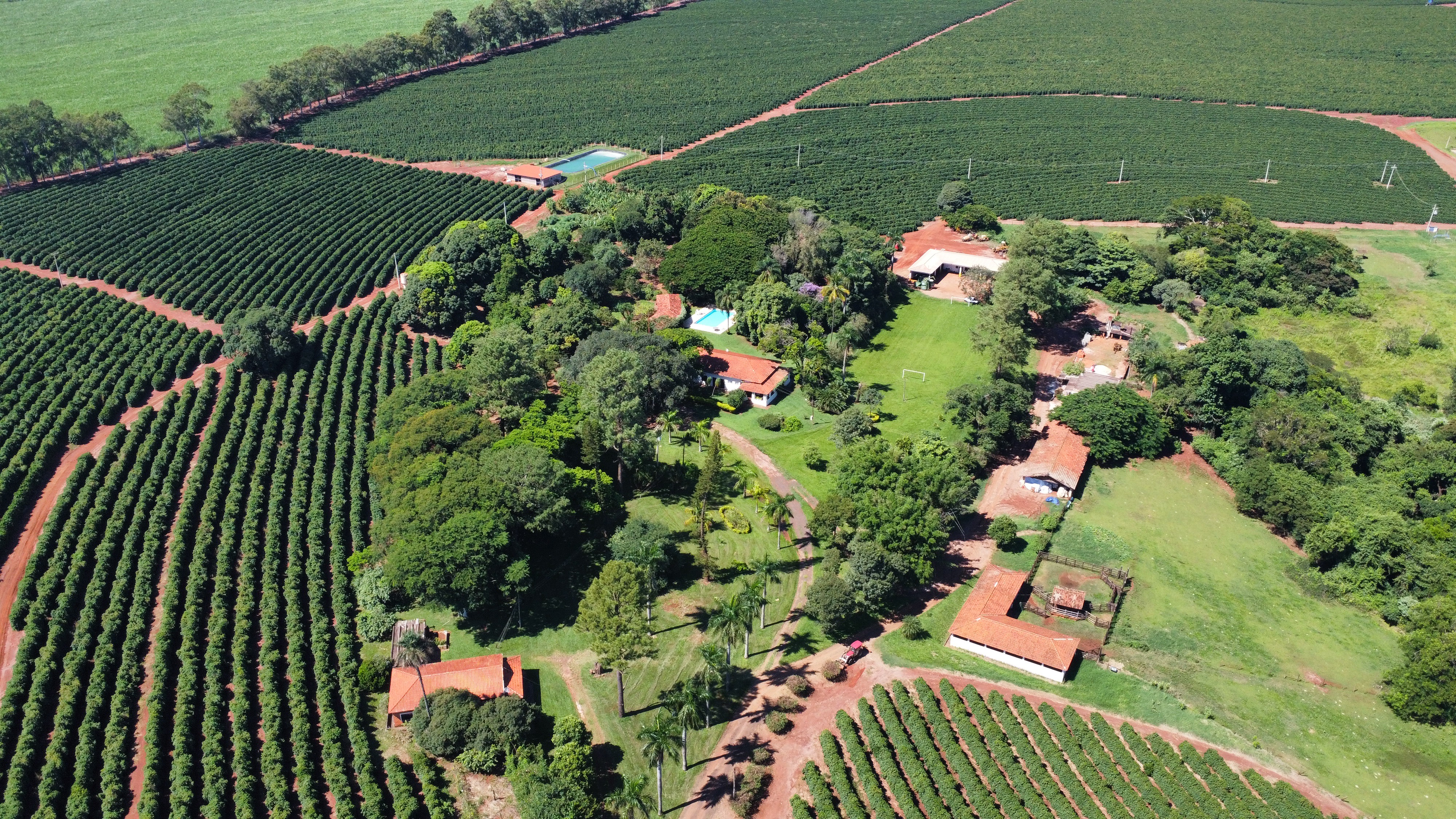 Fazenda Santa Terezinha #14