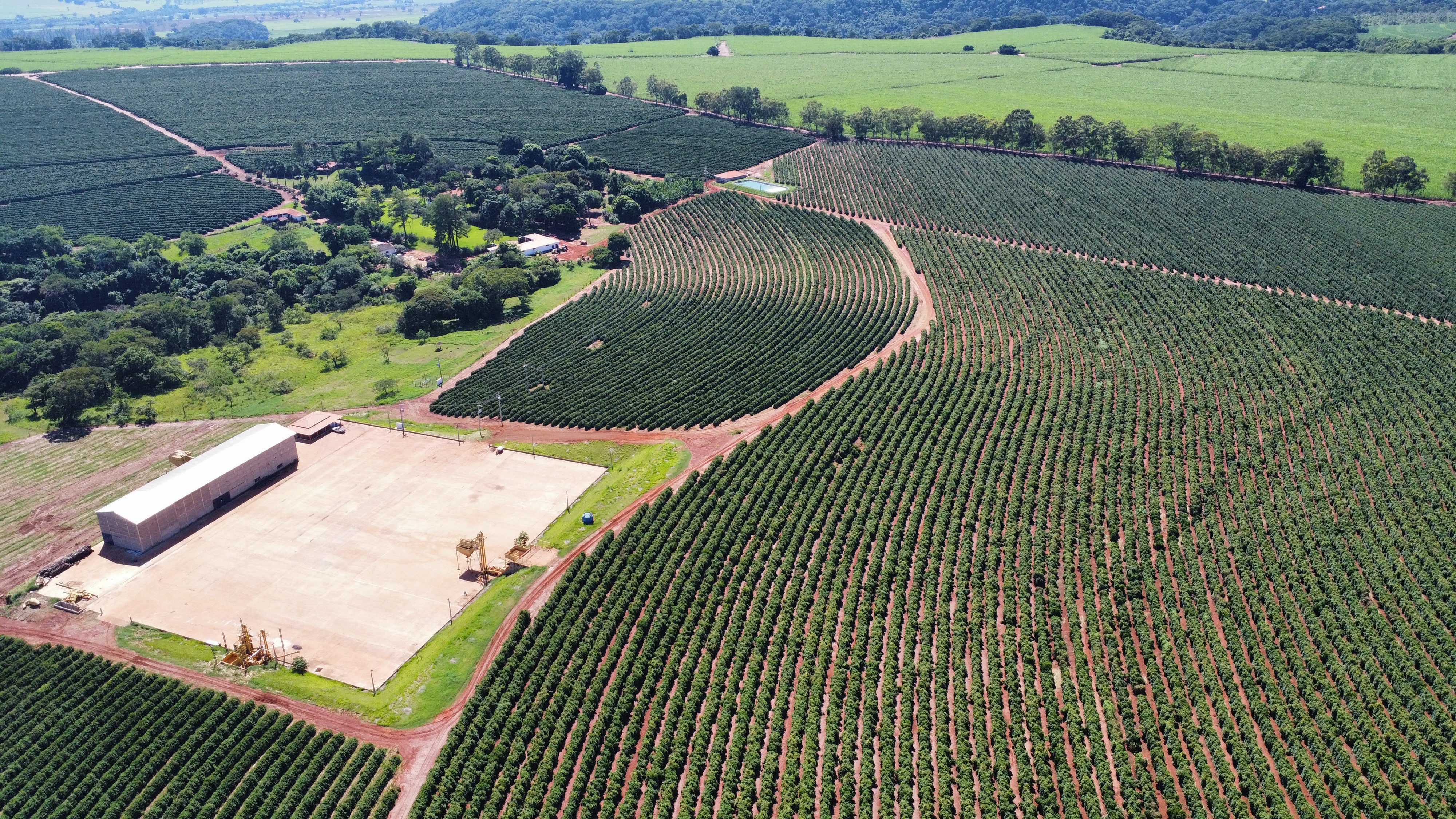 Fazenda Santa Terezinha #16