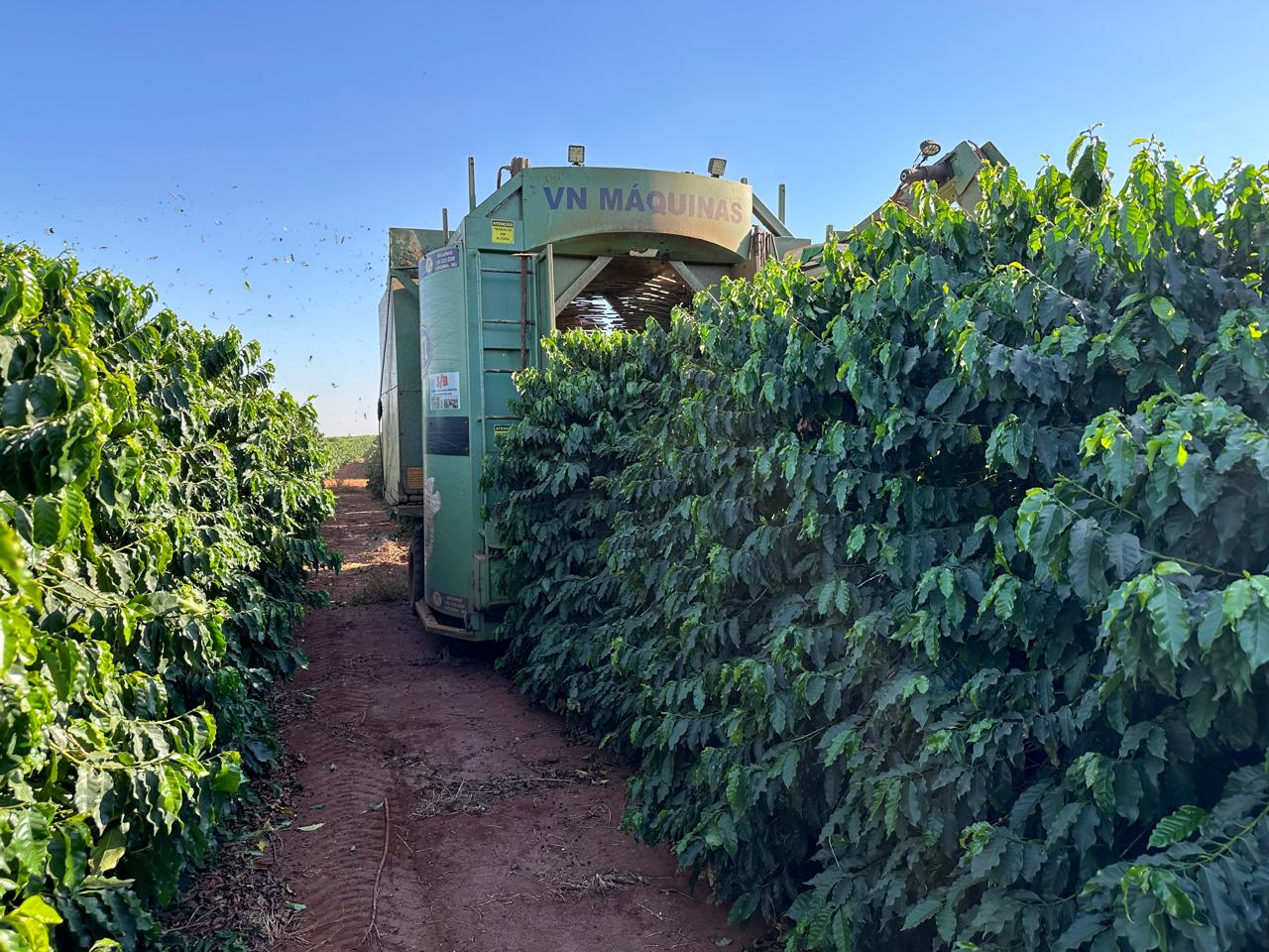 Fazenda Santa Terezinha #23