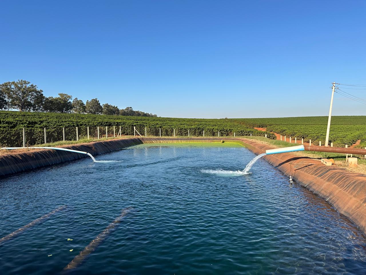 Fazenda Santa Terezinha #31