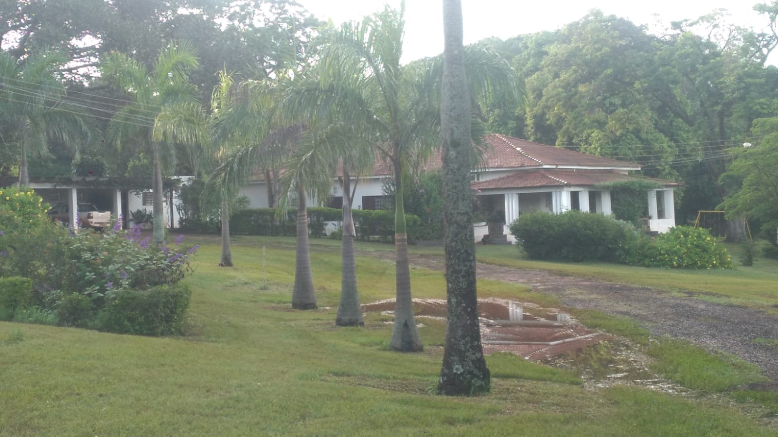 Fazenda Santa Terezinha #32