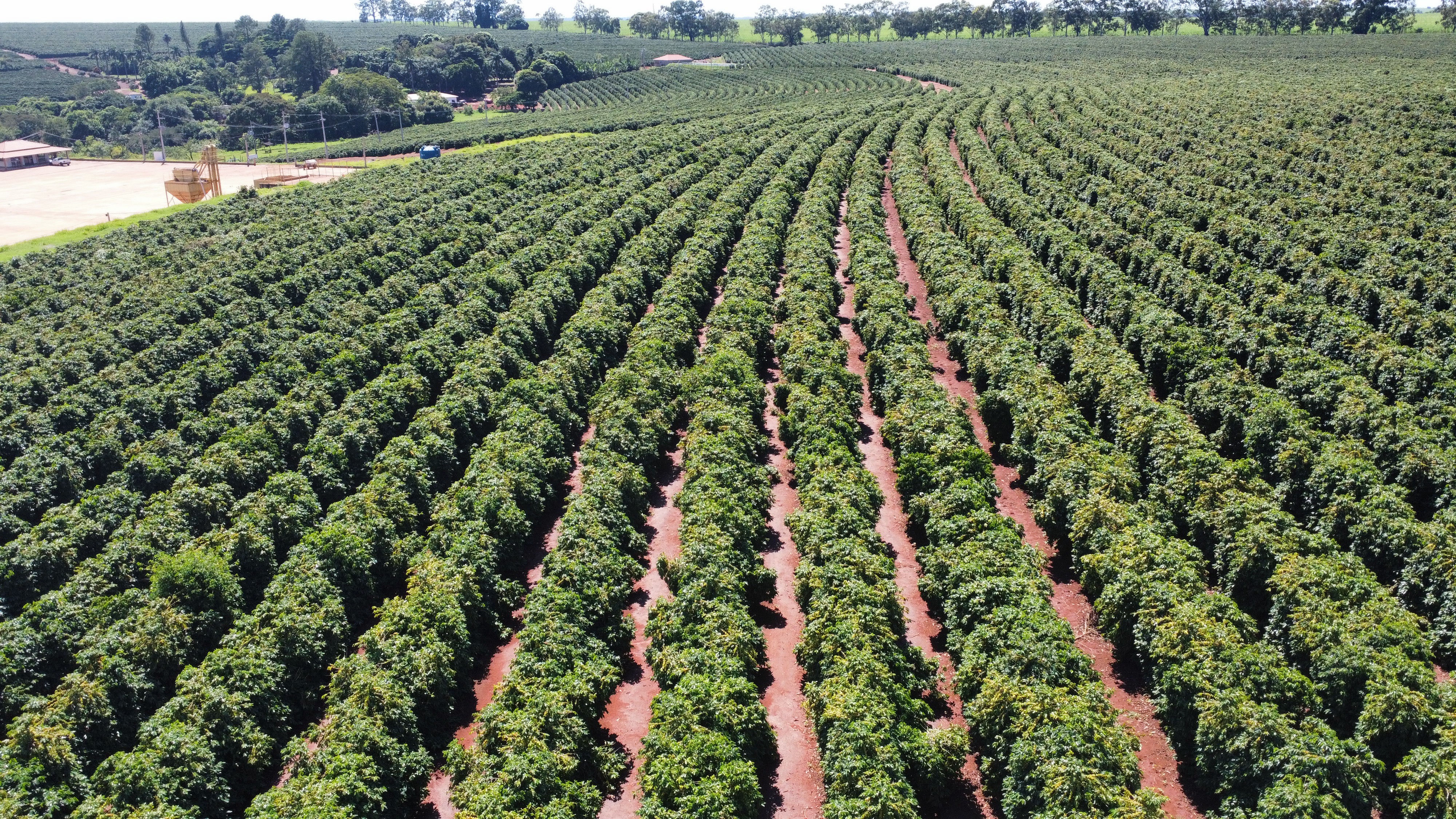 Fazenda Santa Terezinha #6